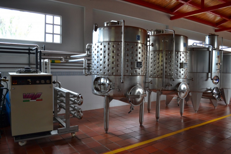 cave-LE MUY-min_wine_production_cantine_winery_drink_alcohol_vine_beverage-902036